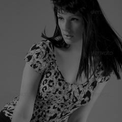 天天陪着您的在线短信轰炸软件